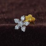 Diamond Nosepin, Diamond House